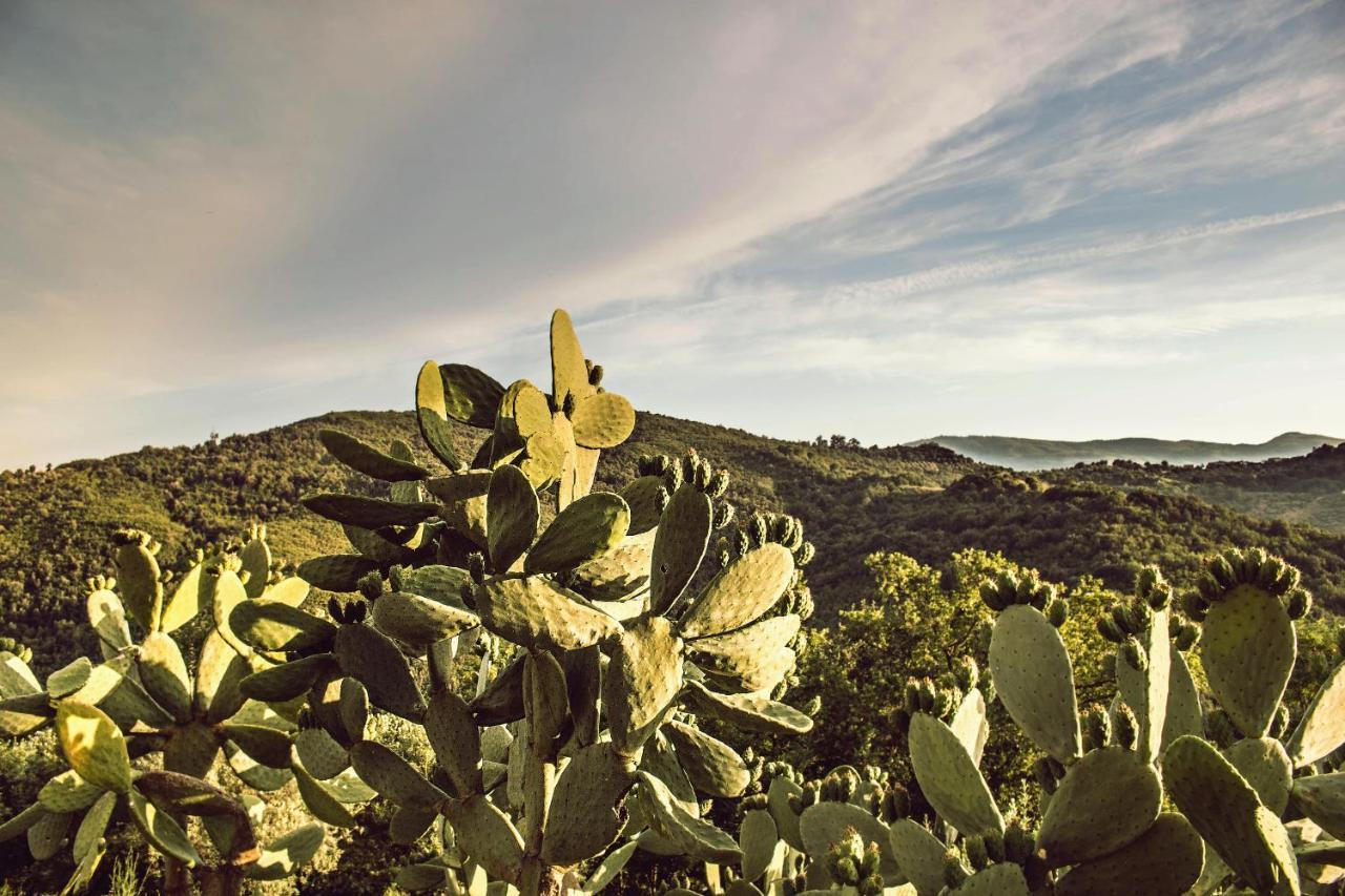 Casale I Cirillo Bed and Breakfast Rutino Εξωτερικό φωτογραφία