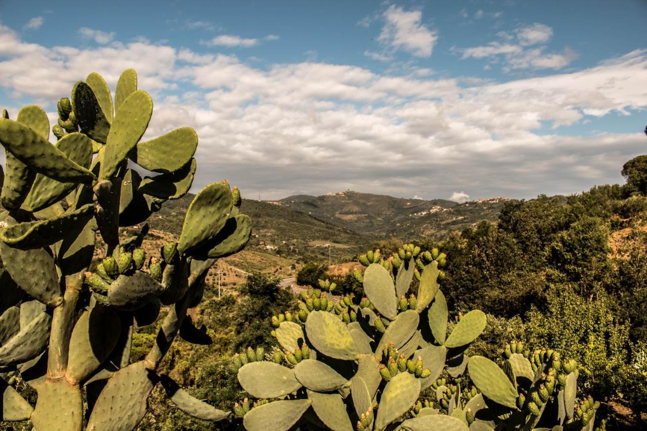 Casale I Cirillo Bed and Breakfast Rutino Εξωτερικό φωτογραφία