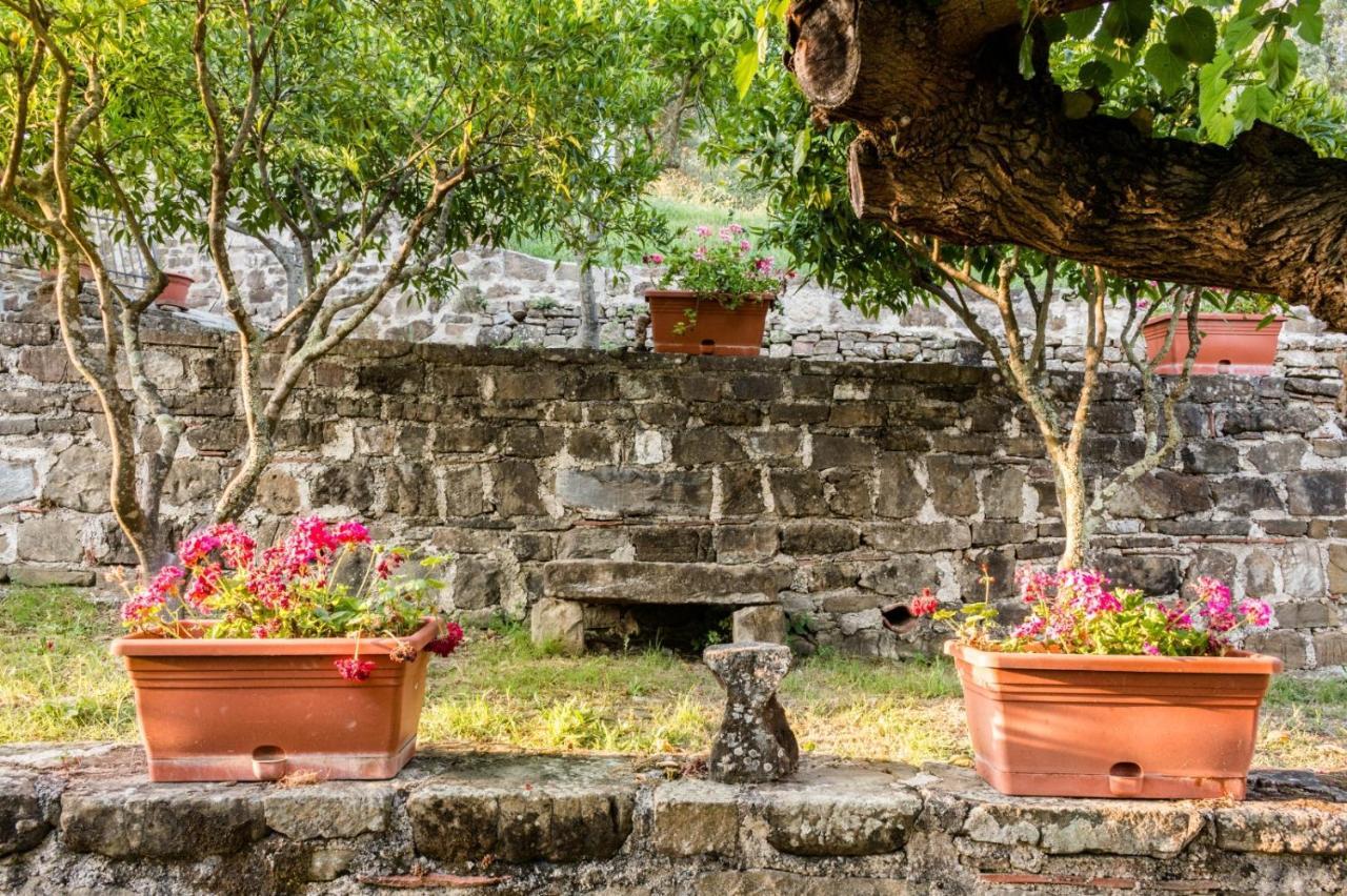 Casale I Cirillo Bed and Breakfast Rutino Εξωτερικό φωτογραφία