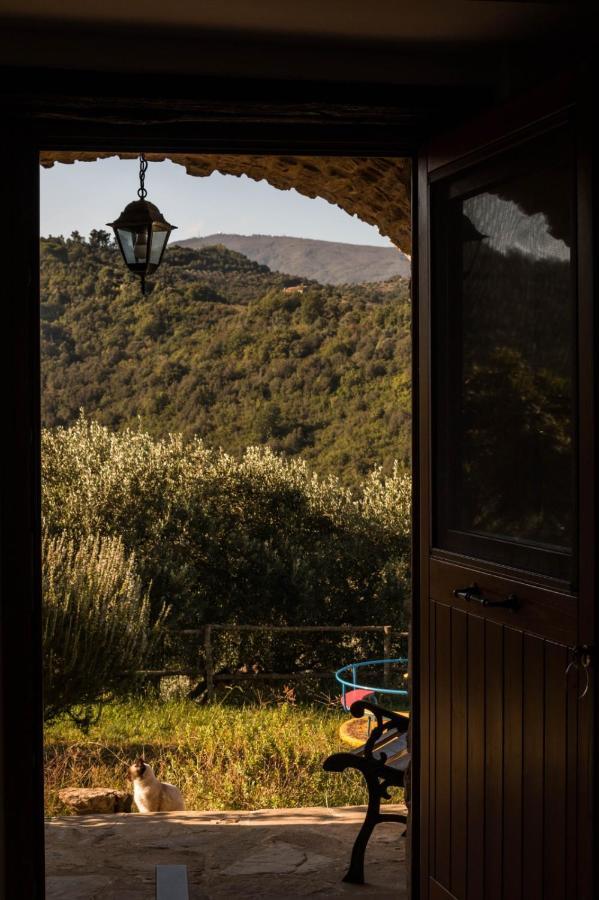Casale I Cirillo Bed and Breakfast Rutino Εξωτερικό φωτογραφία