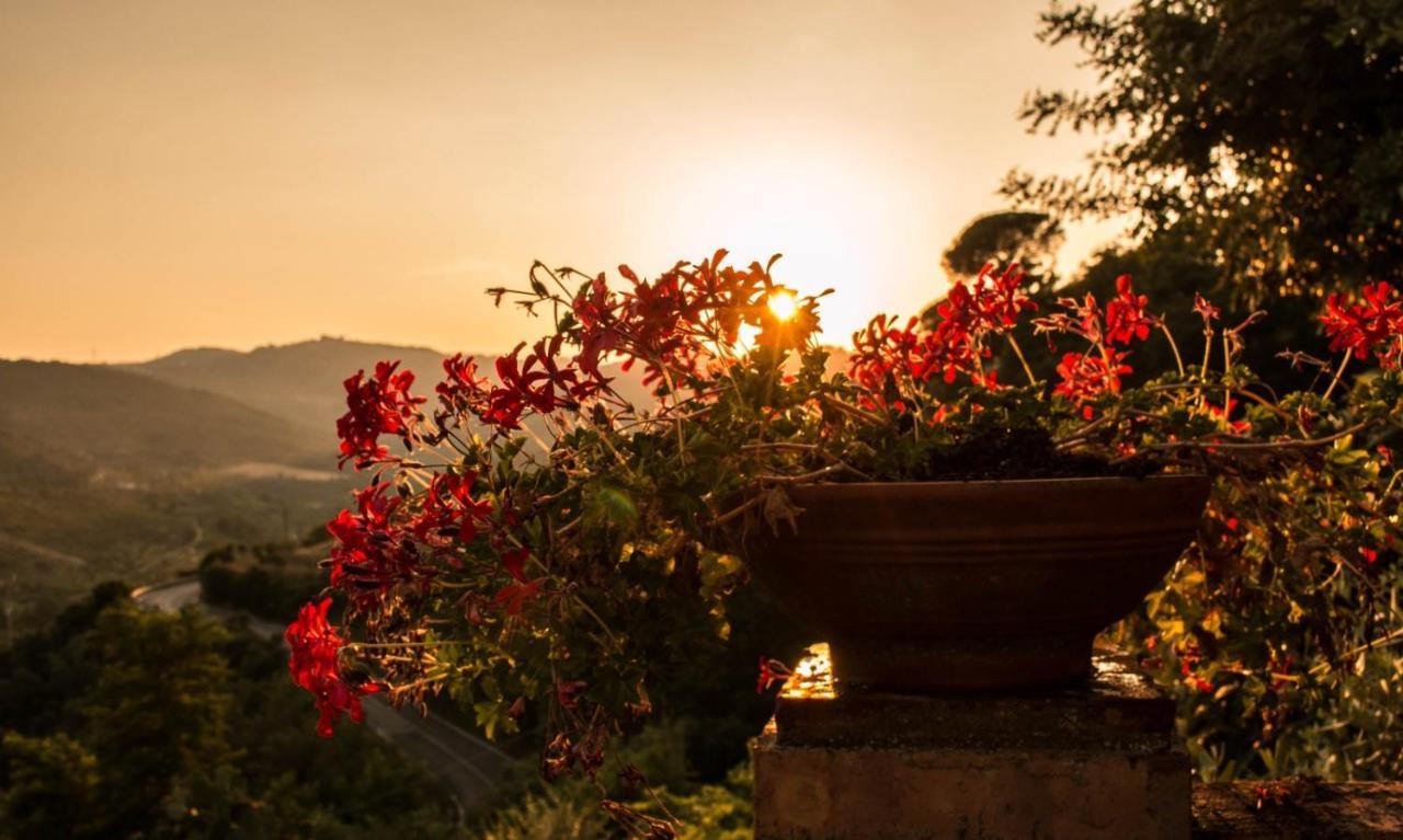 Casale I Cirillo Bed and Breakfast Rutino Εξωτερικό φωτογραφία