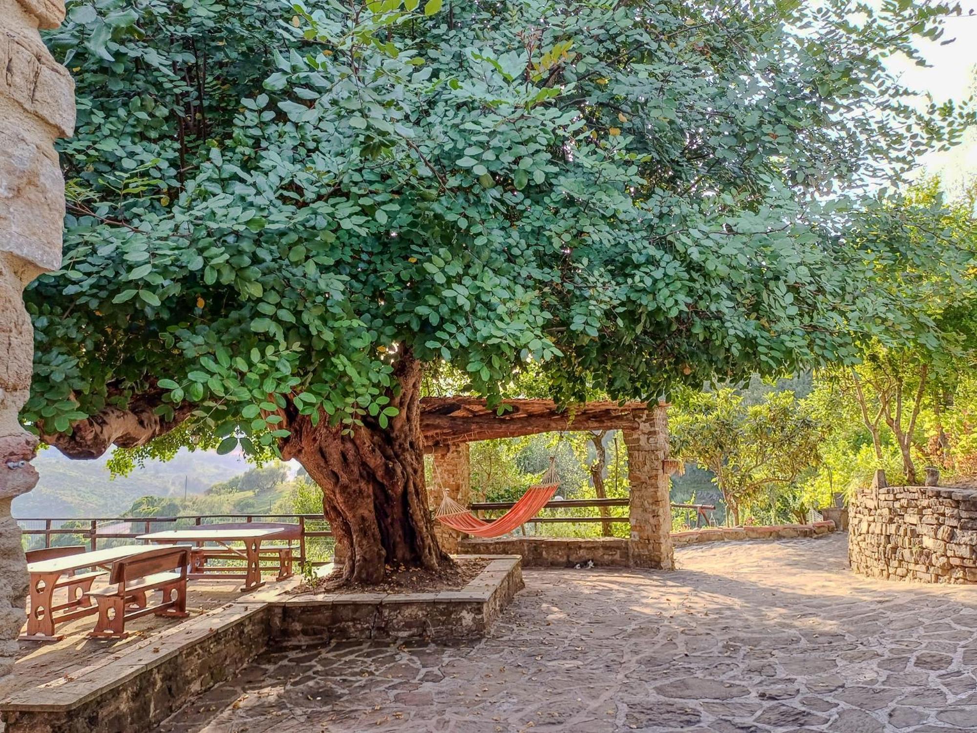 Casale I Cirillo Bed and Breakfast Rutino Εξωτερικό φωτογραφία