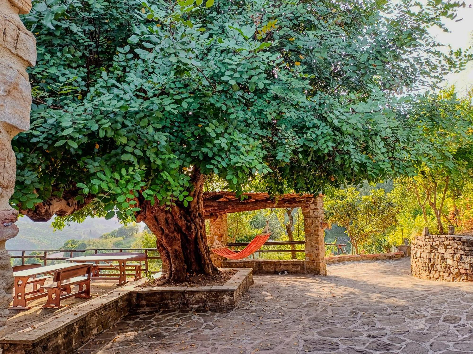 Casale I Cirillo Bed and Breakfast Rutino Εξωτερικό φωτογραφία